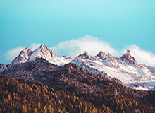 开云体育-九游官网入口：开启极致游戏体验的官方通道